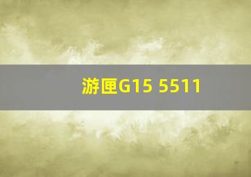 游匣G15 5511